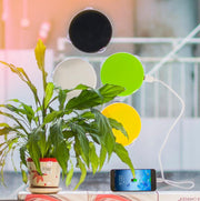 Window solar charger