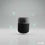 Tronsmart portable Bluetooth speaker with digital WiFi, battery, and volume icons on gray background