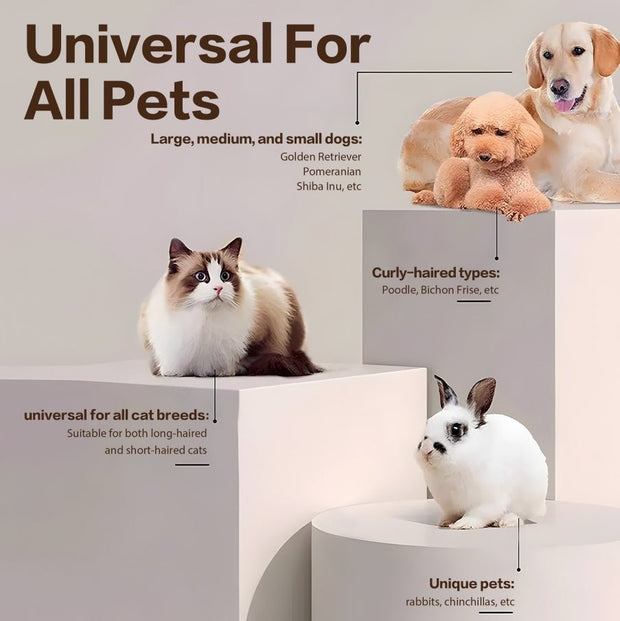 Golden Retriever, Poodle, and cat on pedestals, with a white rabbit, showcasing universal pet grooming compatibility