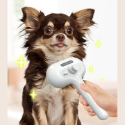 Person holding white self-cleaning pet hair comb grooming brown and white long-haired Chihuahua dog