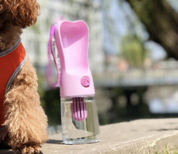 Portable pink pet water bottle and dog wearing orange harness outdoors