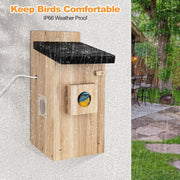 Weatherproof wooden birdhouse with black roof and bird inside, mounted on gray wall in rain