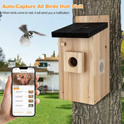 Smart wooden birdhouse with camera mounted on tree, showing bird approaching and mobile app capturing bird nest