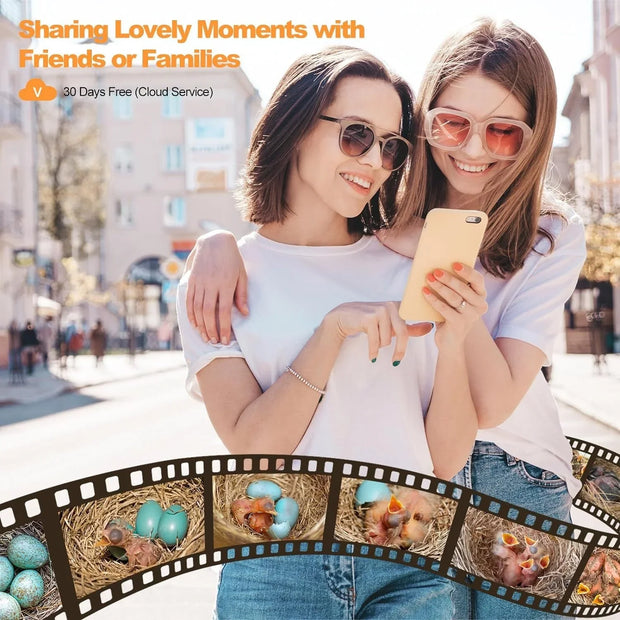 Smart bird house camera displaying baby birds hatching in nest with two women sharing on smartphone