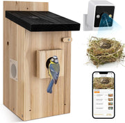 Smart wooden birdhouse with a blue tit perched on the entrance, security camera monitoring a nest shown on smartphone