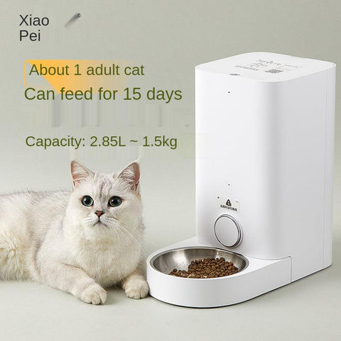 White automatic pet feeder with stainless steel bowl filled with dry food and a white cat lying beside it