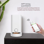 SmartPaws automatic pet feeder dispensing kibble with app-controlled feeding schedule on smartphone